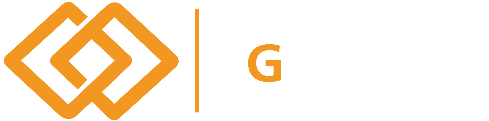 SG VVS AS - Logo